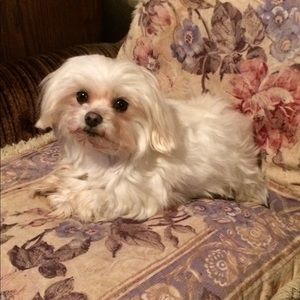 Meet your Posher, Chelsey